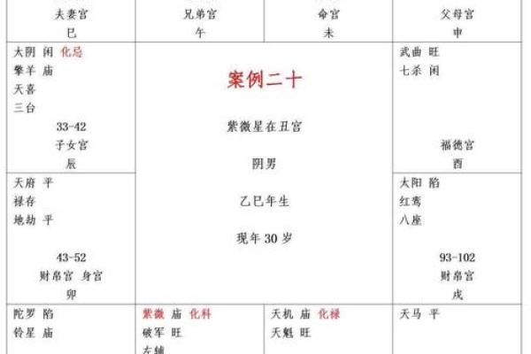 夫妻宫贪狼化权 夫妻宫贪狼化权什么意思 夫妻宫贪狼化权 夫妻宫贪狼化权什么意思