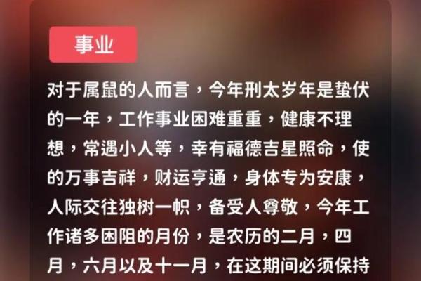 2025兔生肖的全年运势如何_属兔的人蛇年运势如何 2025兔生肖的全年运势如何_属兔的人蛇年运势如何