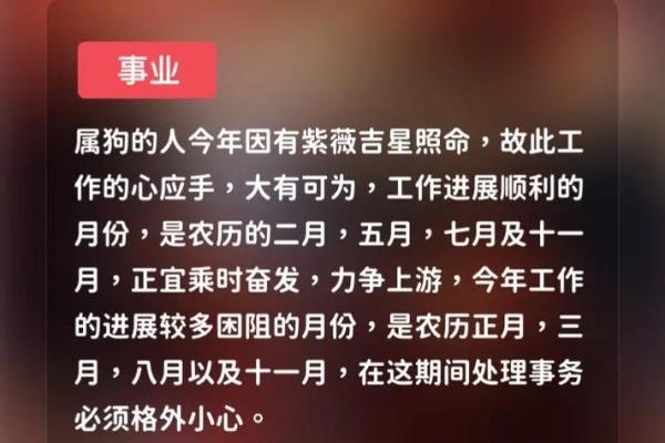 生肖生肖狗2025年运势及运程_2025年生肖狗运势详解全年运程大揭秘 生肖生肖狗2025年运势及运程_2025年生肖狗运势详解全年运程大揭秘