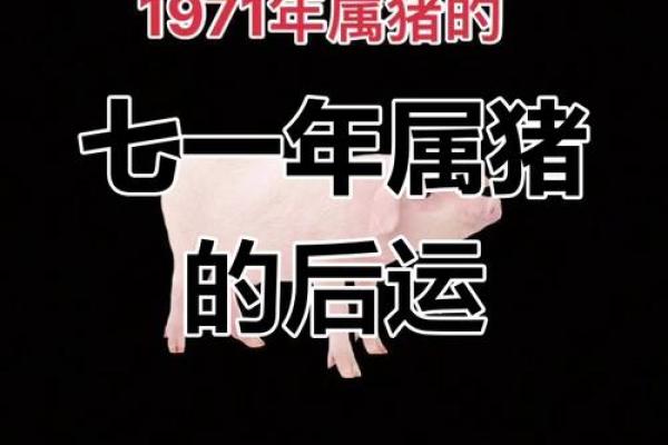 1971年属猪人2025年运势详解运程走向与吉凶预测 1971年属猪人2025年运势详解运程走向与吉凶预测