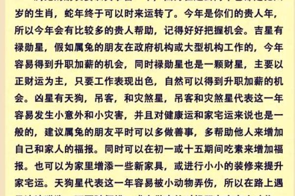 2025年属兔运势解析财运事业爱情全攻略 2025年属兔运势解析财运事业爱情全攻略