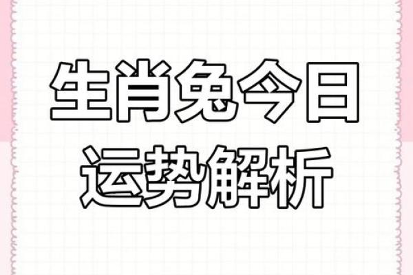2025年属兔运势解析财运事业爱情全攻略 2025年属兔运势解析财运事业爱情全攻略