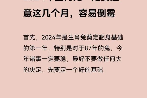 2025年属兔人运势详解整体运程大揭秘 2025年属兔人运势详解整体运程大揭秘