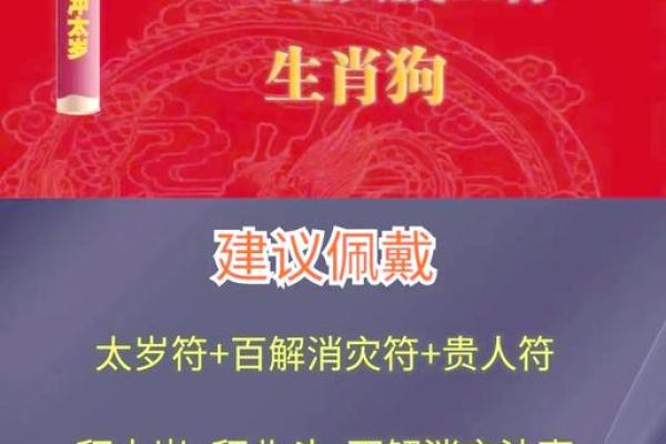 属狗今日打麻将财运解析赢钱秘诀大公开 属狗今日打麻将财运解析赢钱秘诀大公开