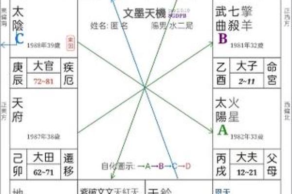 北派紫微斗数_北派紫微斗数揭秘古老命理学的现代应用 北派紫微斗数_北派紫微斗数揭秘古老命理学的现代应用