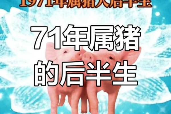 1971属猪男2025年全年运势 1971年的猪男未来五年的运程 1971属猪男2025年全年运势 1971年的猪男未来五年的运程