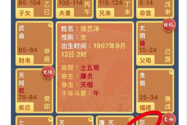 夫妻宫天贵星_夫妻宫天贵星解析婚姻运势与命理奥秘 夫妻宫天贵星_夫妻宫天贵星解析婚姻运势与命理奥秘