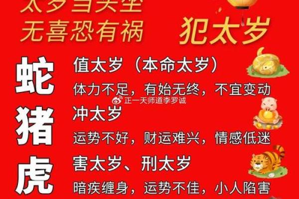 属相猪2025年犯太岁吗_2025年属猪人犯太岁吗运势详解与化解方法 属相猪2025年犯太岁吗_2025年属猪人犯太岁吗运势详解与化解方法