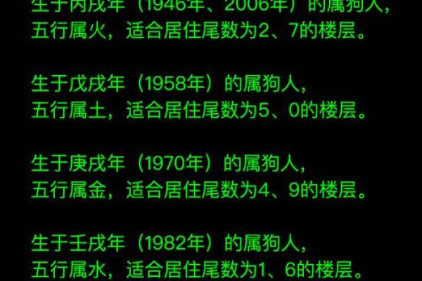 1994年属狗五行属什么揭秘94年狗的命运与五行属性 1994年属狗五行属什么揭秘94年狗的命运与五行属性