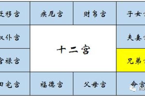福德宫紫微星_福德宫紫微星旺 福德宫紫微星_福德宫紫微星旺