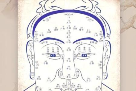 夫妻宫位置 夫妻宫位置图片