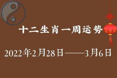 神机妙算开过什么生肖(神机妙算是什么生肖查一下)