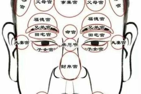 父母宫化禄入疾厄宫_父母宫化禄入疾厄宫命理解析与运势提升指南