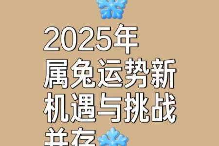 属兔2025年多大岁_2005年属兔的是什么命