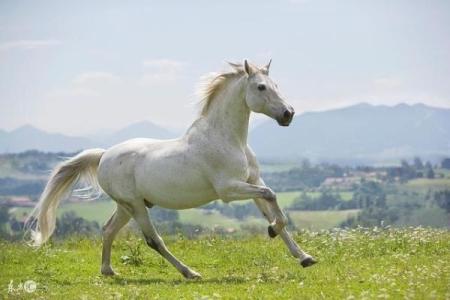 1990年7月17日属马是什么命 1990年七月十七是什么命