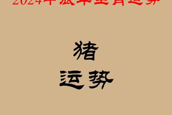 2025年属猪桃花运大揭秘爱情运势如何提升 2025年属猪桃花运大揭秘爱情运势如何提升