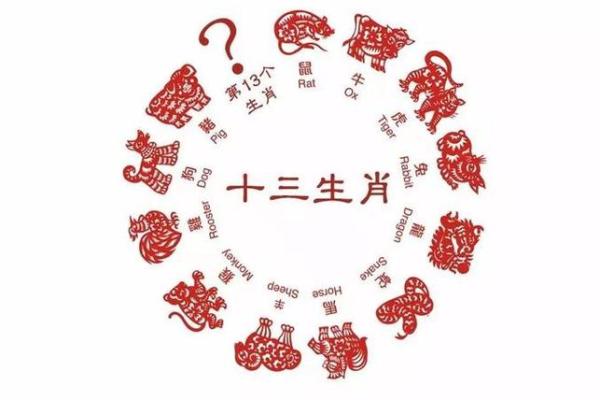 06年属狗今年多大2023年属狗人年龄详解 06年属狗今年多大2023年属狗人年龄详解