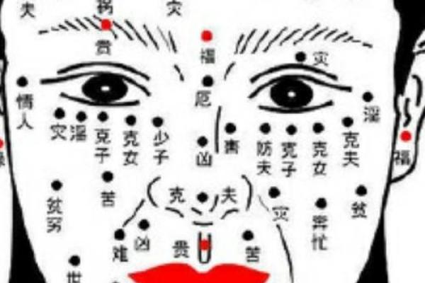 福德宫面相解析揭秘你的命运与财富密码 福德宫面相解析揭秘你的命运与财富密码