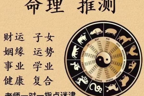 大耗在子女宫命理解析与运势影响 大耗在子女宫命理解析与运势影响