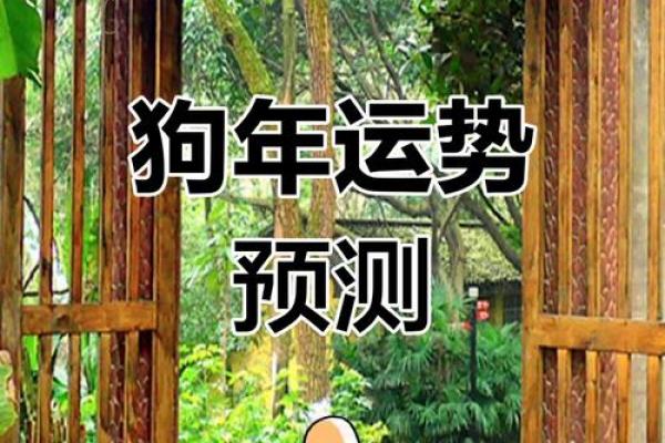 2025年属狗女运势 2025年属狗女运势详解事业财运爱情全解析 2025年属狗女运势 2025年属狗女运势详解事业财运爱情全解析