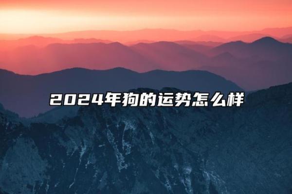 生肖狗2025年事业运势 2025年生肖狗事业运势解析机遇与挑战并存 生肖狗2025年事业运势 2025年生肖狗事业运势解析机遇与挑战并存