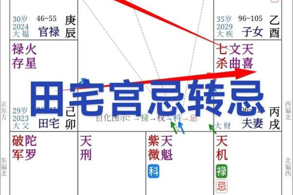 福德宫化忌冲财帛宫_福德宫化忌入各宫 福德宫化忌冲财帛宫_福德宫化忌入各宫