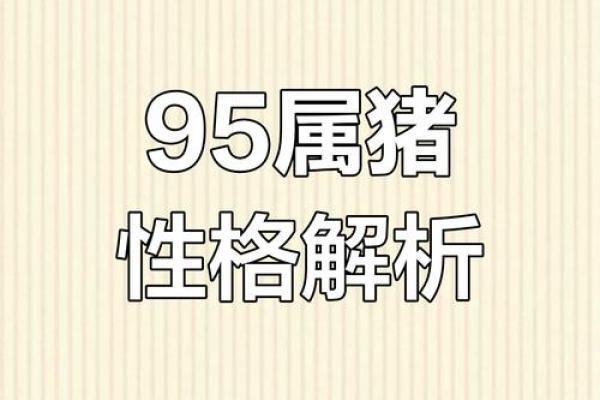95属猪男的最佳婚配_95属猪男人最佳妻子 95属猪男的最佳婚配_95属猪男人最佳妻子
