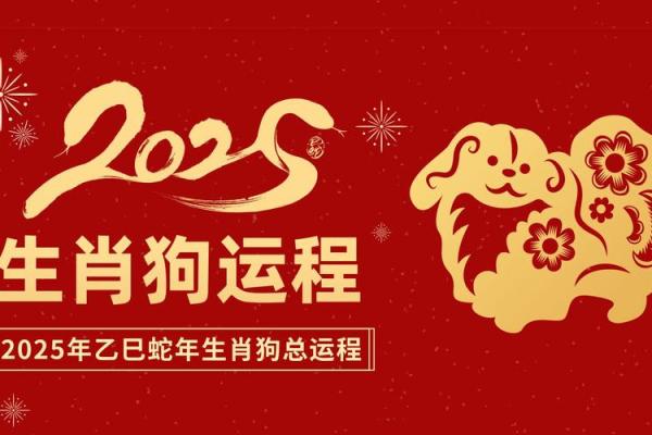 82年属狗的人2025年的运势及运程 2025年属狗人全年运势及运程 82年属狗的人2025年的运势及运程 2025年属狗人全年运势及运程