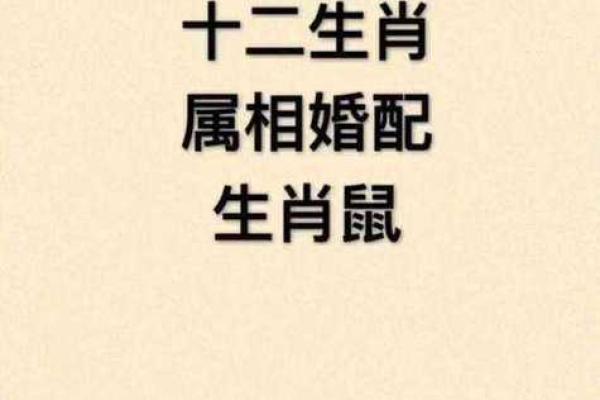 1996年1月属猪还是老鼠_1996年一月属鼠是什么命 1996年1月属猪还是老鼠_1996年一月属鼠是什么命