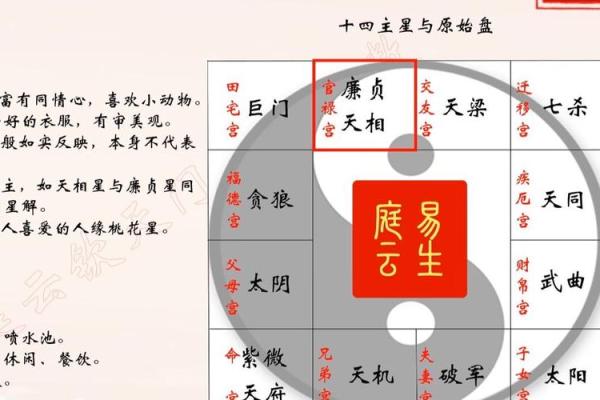 福德宫紫微天相星解析命运与财富的奥秘 福德宫紫微天相星解析命运与财富的奥秘