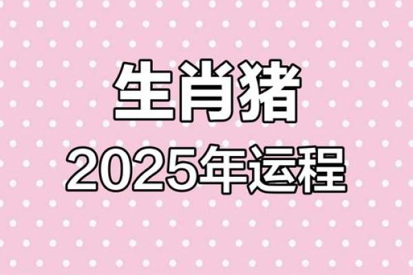 属猪的2025多大了 71年属猪的人今年多大 属猪的2025多大了 71年属猪的人今年多大