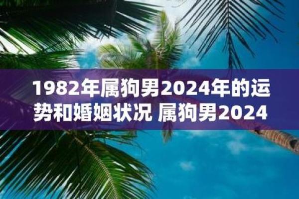 1982年属狗2024年运势详解运程预测与注意事项 1982年属狗2024年运势详解运程预测与注意事项