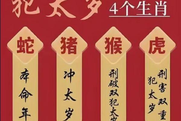 属猪的今年犯太岁吗2025年_2025年属猪大忌颜色 属猪的今年犯太岁吗2025年_2025年属猪大忌颜色