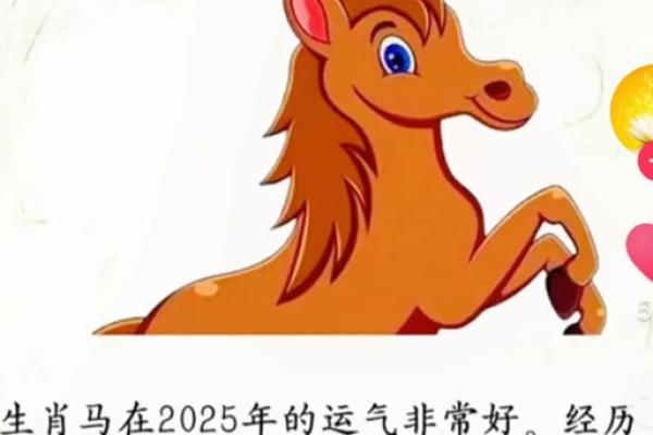 2025年属马人的全年运势如何_1990年属马人2025年全年运势运程