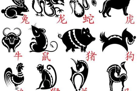 胡作非为是什么生肖(胡作非为的三大生肖)