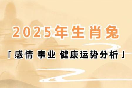 1951年属兔的今年多大了 1951年属兔的今年多大年龄计算与运势解析
