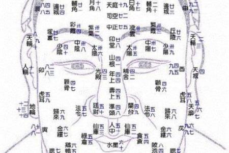 夫妻宫在哪里 夫妻宫位置解析如何找到你的婚姻宫位