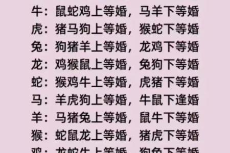 2002年属马配什么生肖最好最佳婚配属相揭秘