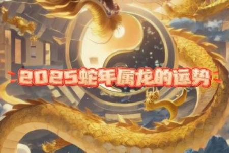 属龙2025运势全年运势_2025年属龙人全年运势逐月解析运程趋势与机遇全掌握