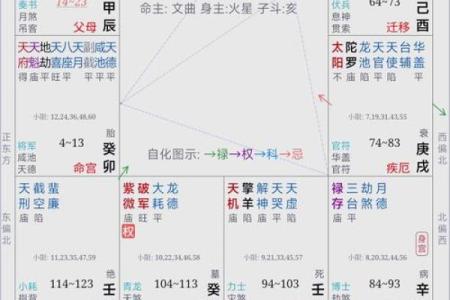 福德宫化忌冲财帛宫_福德宫化忌入各宫