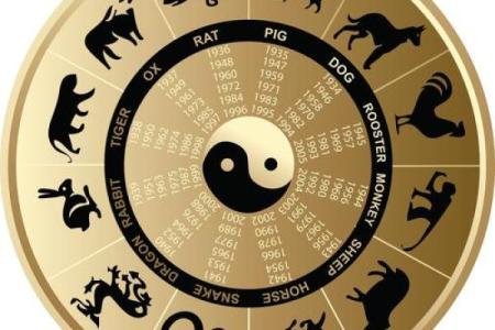 变化多端是什么生肖(变化多端打一动物)