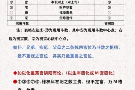 八字紫薇_八字紫薇是什么意思