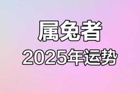 1963属兔2025年每月运势详解全年运程大揭秘