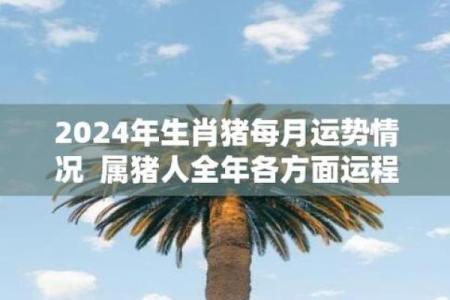 属猪的2025年运势_属猪的2025年运势和财运怎么样