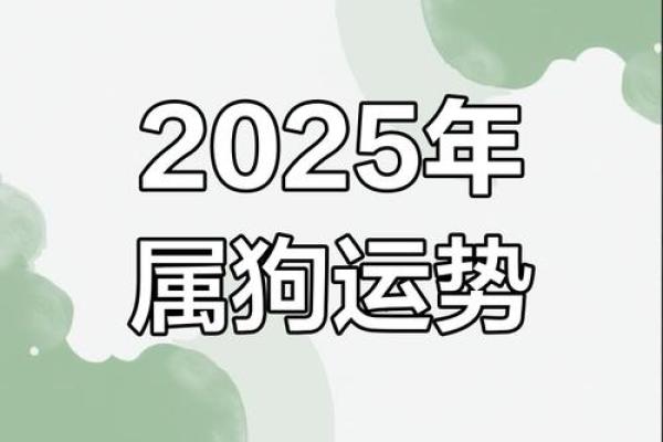 属狗人2025年全年运势 男性_属狗人2025年全年运势 男性高考学生 属狗人2025年全年运势 男性_属狗人2025年全年运势 男性高考学生