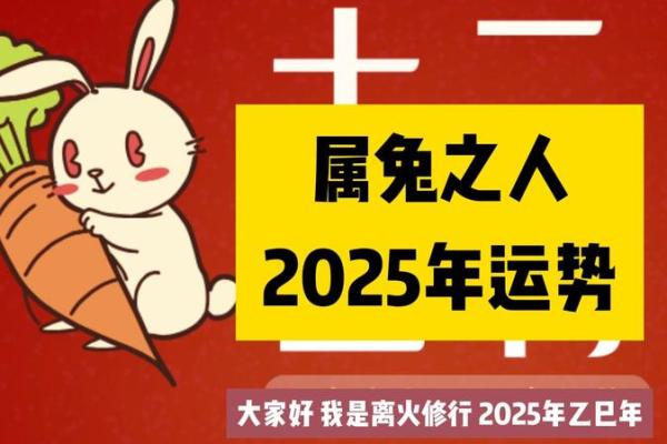2025年属兔的运势如何 2025年属兔运势如何 八七年的