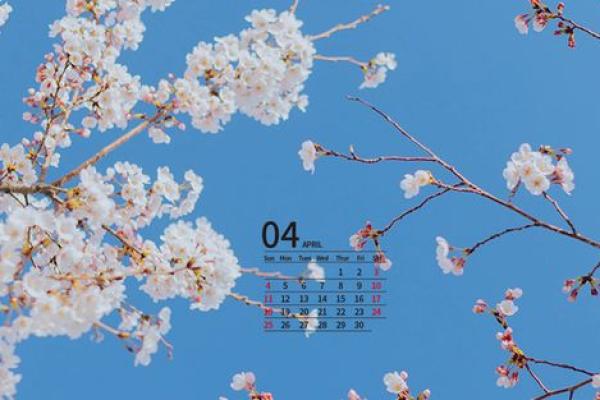 2021年4月25日结婚行不行 2021年4月25日结婚行不行