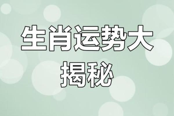 属狗今日运势偏财运_属狗今日赌运和财运