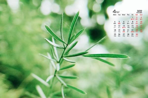 打开2022年4月日历 打开2022年4月日历