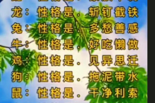 为非作歹指什么生肖 为非作歹指什么生肖